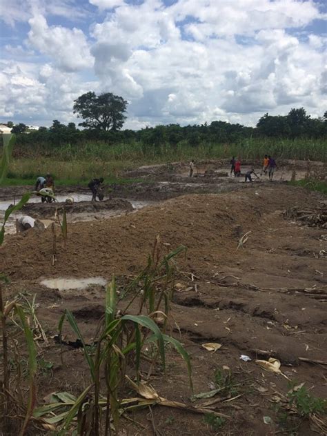 How I Started My Earthen Pond Fish Farming In Abuja Agriculture Nigeria