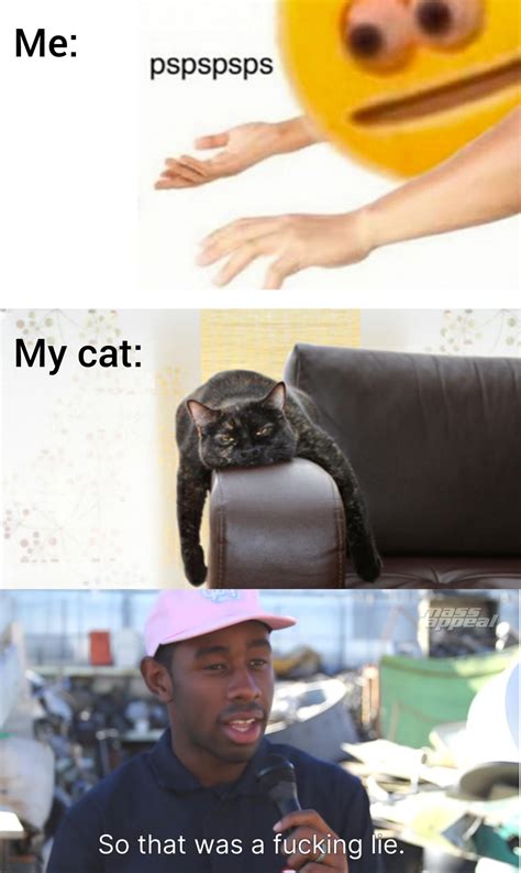 Sad Pussy Noises R Memes