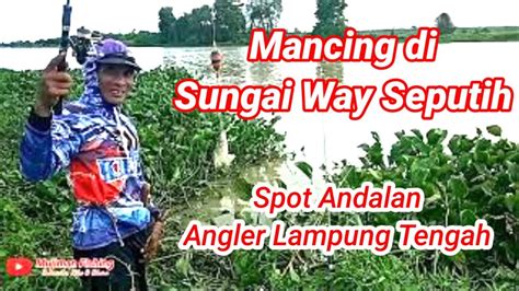 Mancing Di Sungai Way Seputih Sungai Way Seputih Lampung Spot