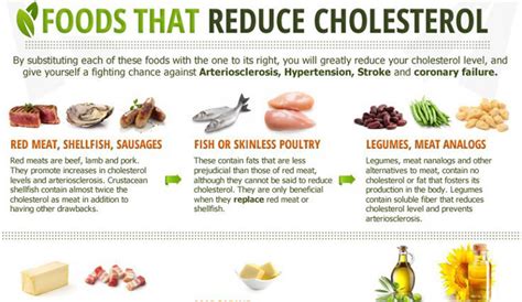 8 Natural Herbs And Vitamins That Lower Cholesterol Dr Sam Robbins