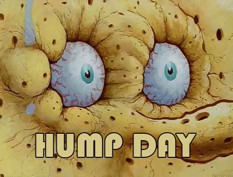 Hump Day Wednesday