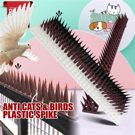 Plastic Anti Cat Bird Spike Cat Repellent Animal Pest Control