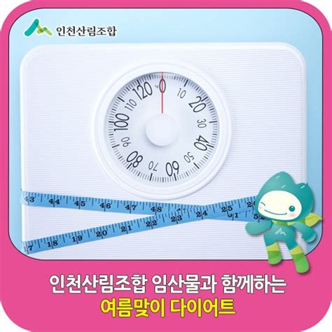 인천산림조합 임산물과 함께하는 여름맞이 다이어트 네이버 블로그