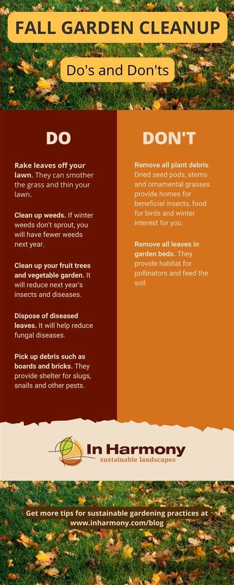 Fall Garden Cleanup Do S And Don Ts In Harmony Sustainable Landscapes