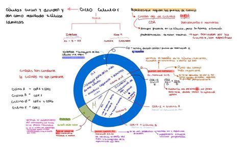 Biologia Millaray Monserrat Jiménez Venegas uDocz