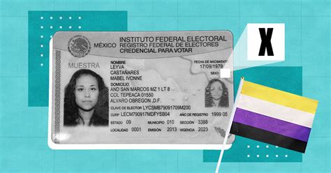 INE Reconoce La Identidad No Binaria En La Credencial De Elector Teletype