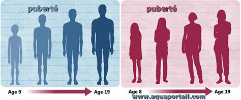 Puberté définition et explications