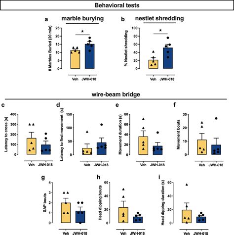 Long Term Behavioral Effects Of JWH 018 IVSA In Marble Burying MB