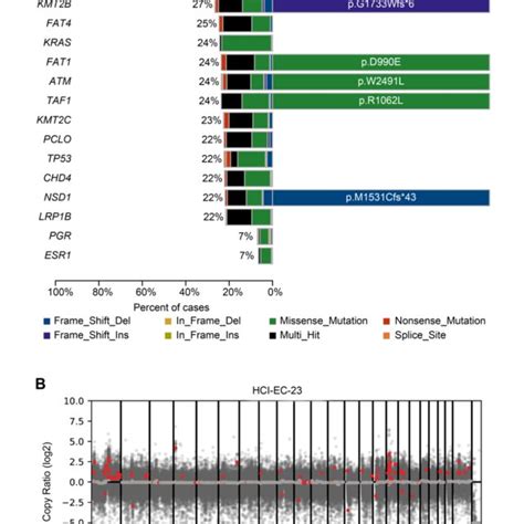 Whole Exome Sequencing Of Hci Ec 23 A Displayed Is A Comparison Of