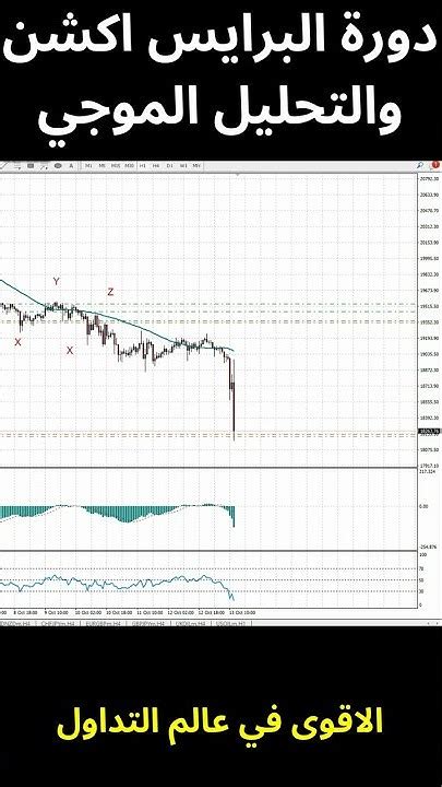 دورة البرايس اكشن والتحليل الموجي الاقوى في عالم التداول لن تخسر بعد