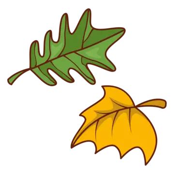 Thanksgiving Leaves Vector Sticker Clipart With Many Different Leaves