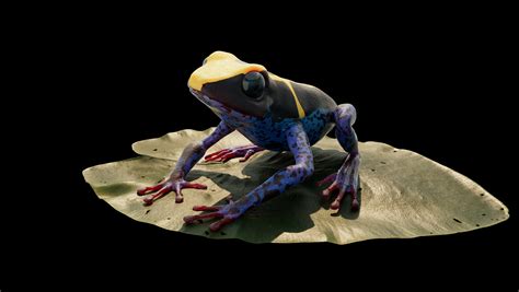 Artstation Frog