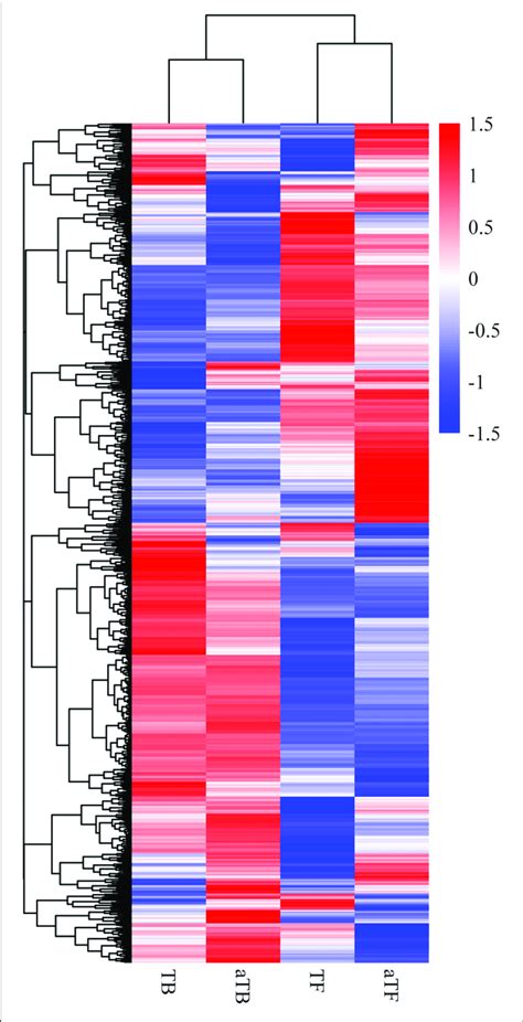 Heatmap And Hierarchical Clustering Of The Differentially Expressed