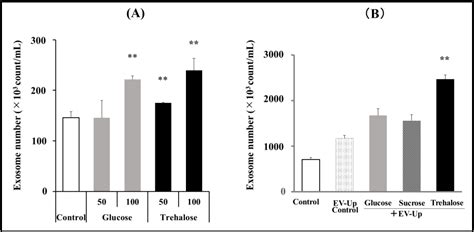 Beneficial Effects Of Trehalose On Mesenchymal Stem Cell Derived