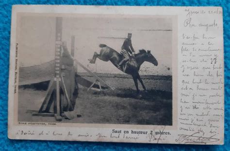 KŮŇ Skok 2 Metry Do VÝŠky Belgie 1900 Military Rarita Aukro