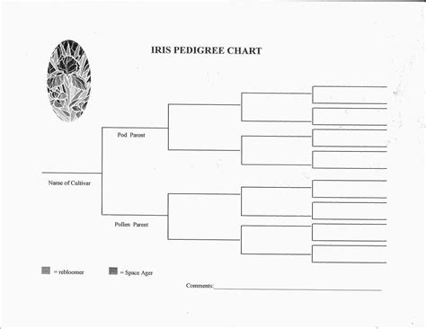 Dog Family Tree Template Online Free Printable Chart Blank Charts To ...