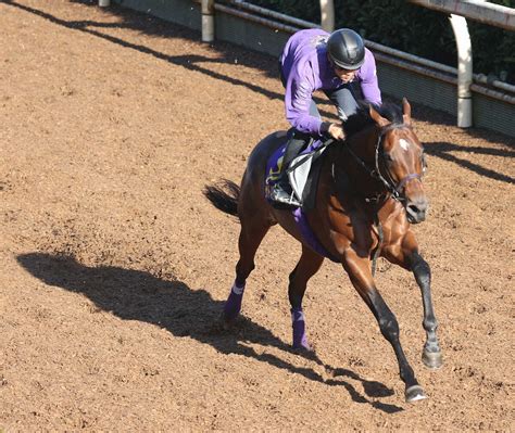 【菊花賞】サトノグランツ さらに素軽さ増した、友道師「見た目以上に成長している」― スポニチ Sponichi Annex ギャンブル