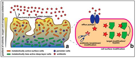 Molecules Free Full Text Antibiotic Discovery Combatting Bacterial