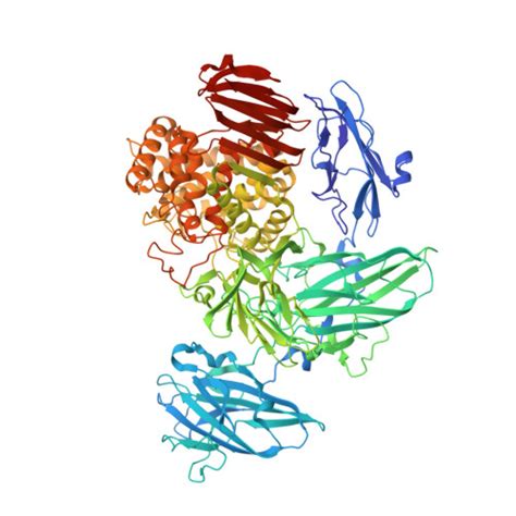 Rcsb Pdb W N Crystal Structure Of Streptomyces Avermitilis Alpha L