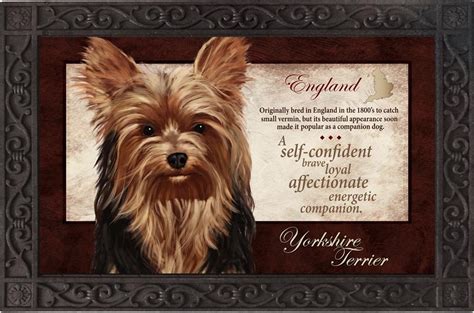 Yorkshire Terrier Silk Reflections doormat - Dog Gifts NZ