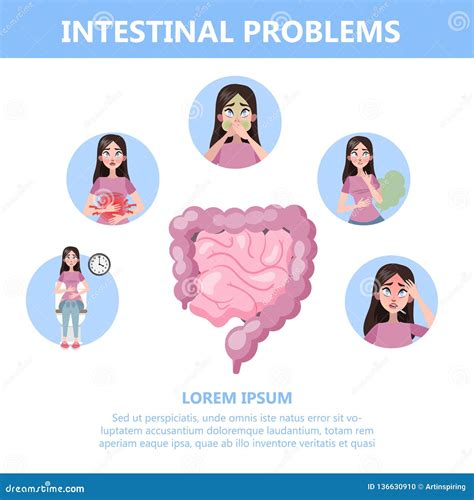 Infographic with Intestine Problems. Woman with Digestive Stock Vector