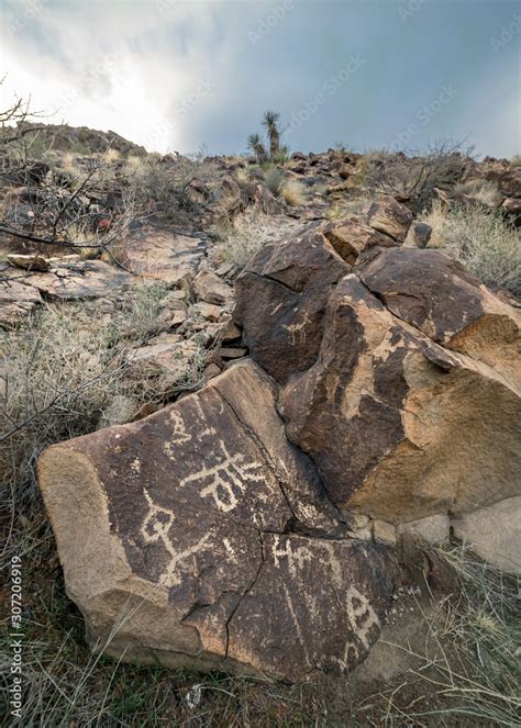 USA, Nevada, Clark County, Henderson, North McCullough Wilderness ...