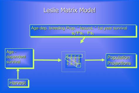 Ppt Integrated Population Modeling A Natural Tool For Population