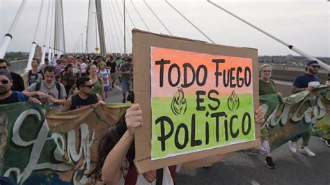 En El Puente Contra El Ecocidio En Los Humedales