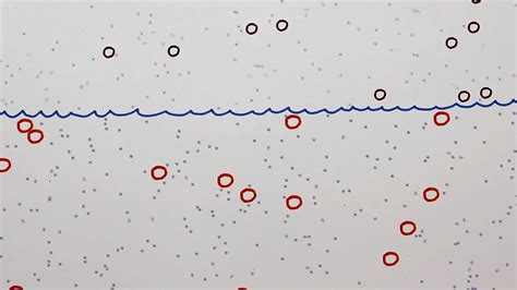 Brownian motion | physics | Britannica.com