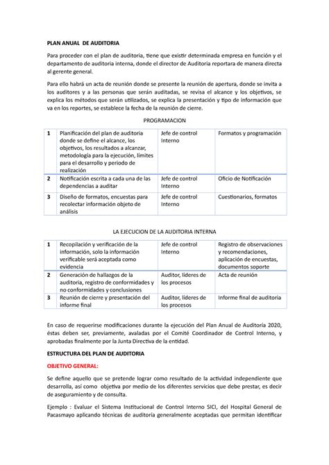 Estructura DEL PLAN Anual DE Auditoria PLAN ANUAL DE AUDITORIA Para