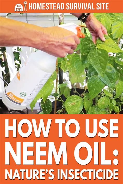 How To Use Neem Oil Natures Insecticide Neem Oil Neem Oils