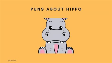 100 Funny Hippo Jokes That Will Cheer You Up Jokewise