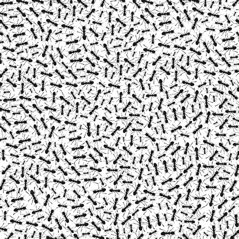 Premium Vector Ants A Background
