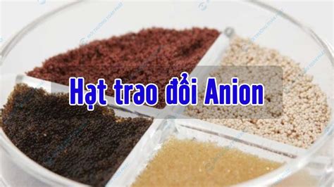 hat trao doi anion phan loai va ung dung