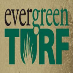 Evergreen Turf