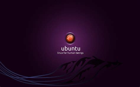 Wallpapers For Linux Ubuntu Wallpaper Cave