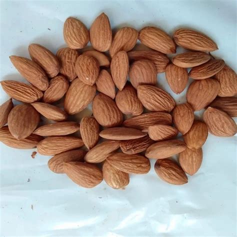 Variety Sonora Almonds Dried Brown Almond Nuts At Rs Kg In Bengaluru