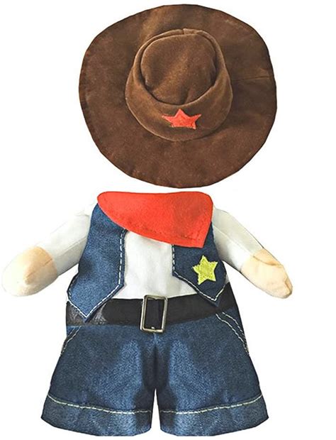 This Cowboy Cat Costume Turns Your Kitty Into The Cutest Gunslinger In ...