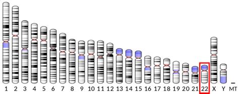 MORC2 - Wikipedia