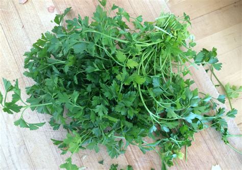 More Than A Garnish 6 Great Parsley Recipes Here And Now