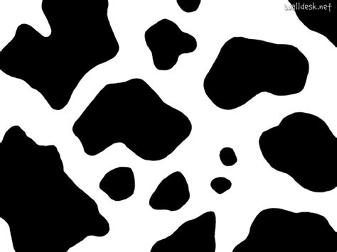 cow print border clip art - Clip Art Library