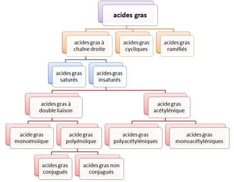 Lipides Classification Acides Gras Graisses Et Huiles