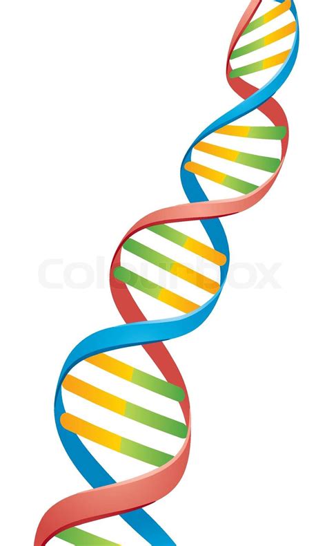 Vector Illustration Eines Double Helix DNA Strang Stock Vektor