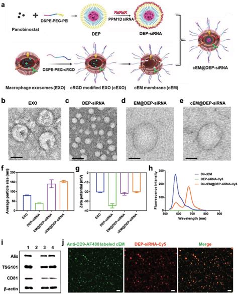 Characterization Of The Nano Drug Delivery System A Schematic