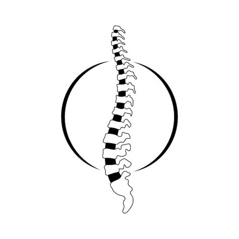 Premium Vector Vector Human Spine Illustration