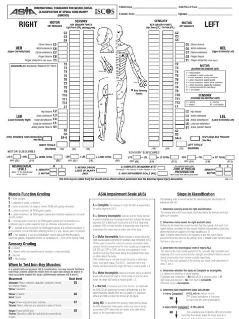 Asia International Standards For Neurological Classification Of Spinal Cord Injury Dance