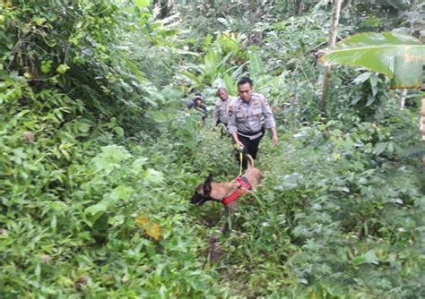 Polisi Kerahkan Anjing Pelacak Untuk Endus Jejak Pembunuh Mama Muda Di