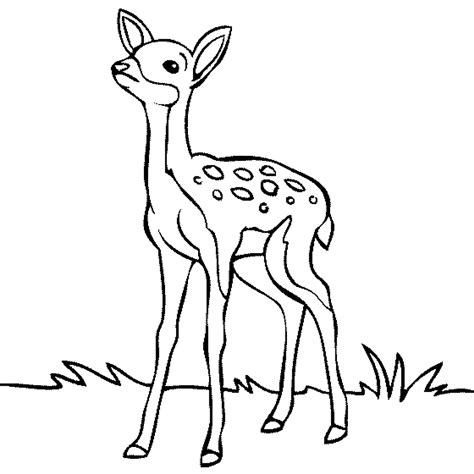 Free Deer Clipart Black And White, Download Free Deer Clipart Black And ...