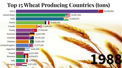 Top Wheat Producing Countries Data Is Magic Youtube