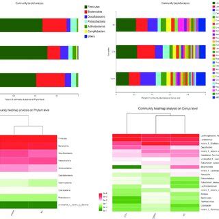 Composition Of The Gut Microbiota A Community Bar Plot Analysis At